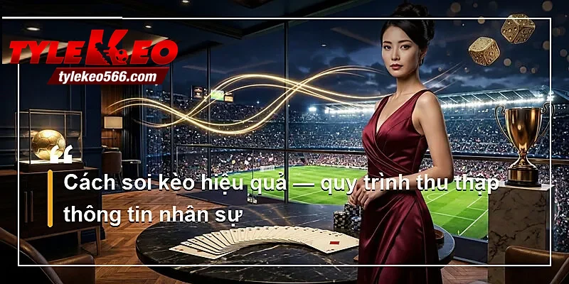 Cách soi kèo hiệu quả — quy trình thu thập thông tin nhân sự