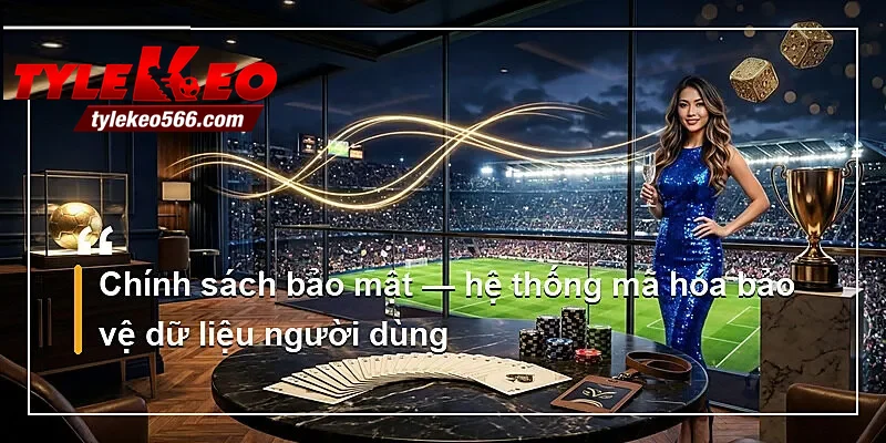 Chính sách bảo mật — hệ thống mã hóa bảo vệ dữ liệu người dùng