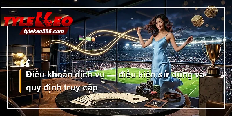 Điều khoản dịch vụ — điều kiện sử dụng và quy định truy cập