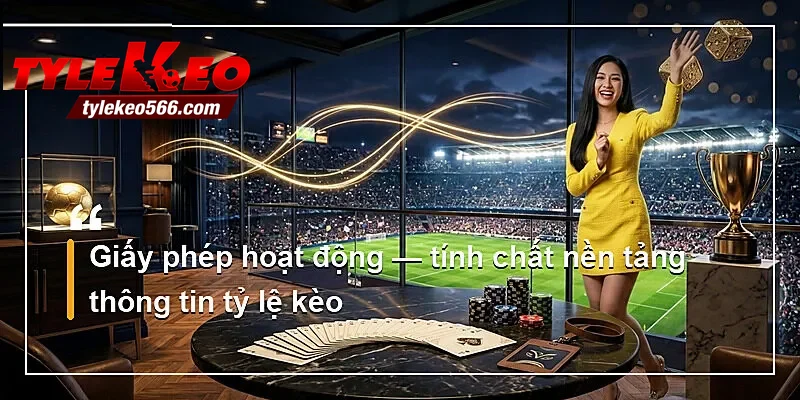 Giấy phép hoạt động — tính chất nền tảng thông tin tỷ lệ kèo