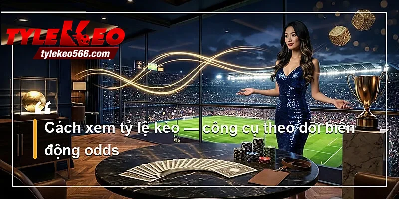 Cách xem tỷ lệ kèo — công cụ theo dõi biến động odds