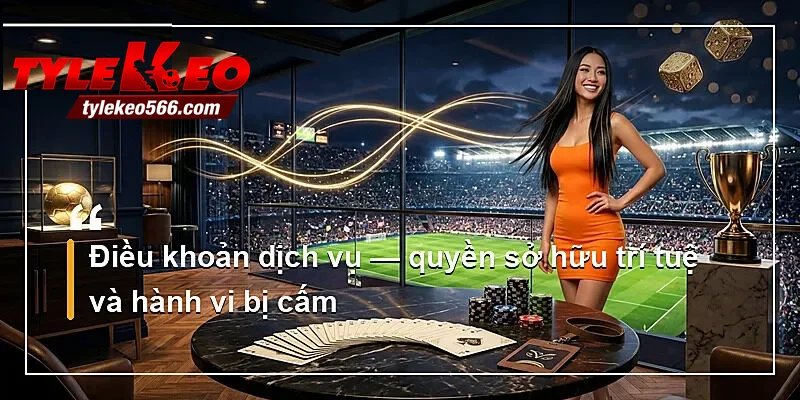 Điều khoản dịch vụ — quyền sở hữu trí tuệ và hành vi bị cấm
