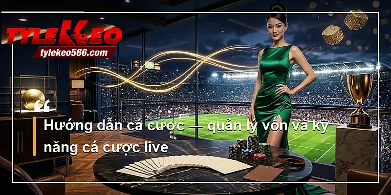 Hướng dẫn cá cược — quản lý vốn và kỹ năng cá cược live