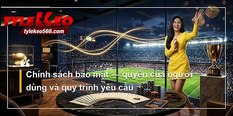 Chính sách bảo mật — quyền của người dùng và quy trình yêu cầu