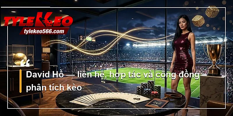 David Hồ — liên hệ, hợp tác và cộng đồng phân tích kèo