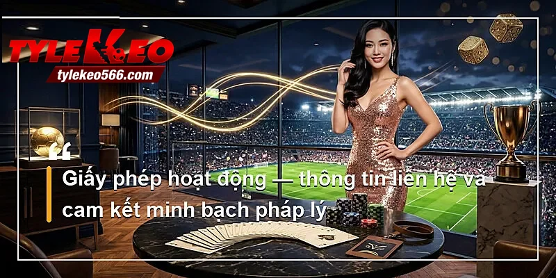 Giấy phép hoạt động — thông tin liên hệ và cam kết minh bạch pháp lý